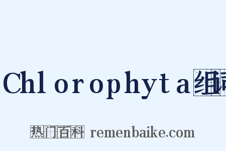 Chlorophyta组词是什么意思的图片